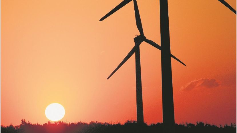Energías renovables: cuáles son los desafíos del sector tras el cambio de gobierno